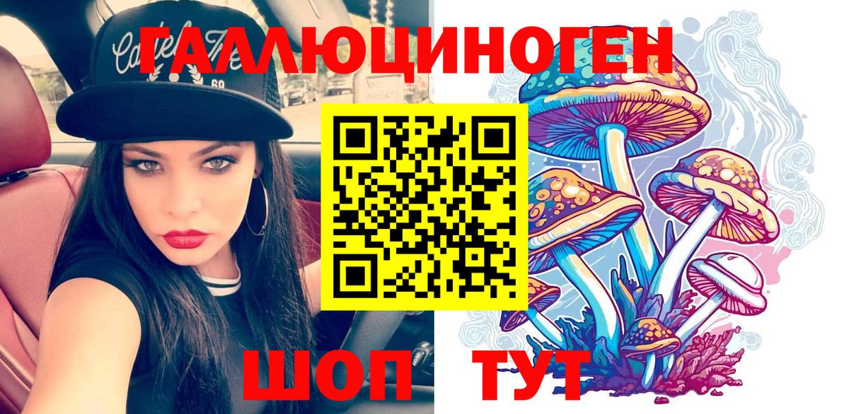Северобайкальск  Галлюциногенные грибы Psilocybine cubensis  Вход с VPN  Псилоцибиновые грибы мицелий 