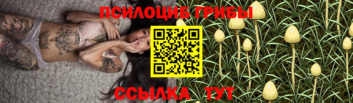 Галлюциногенные грибы GOLDEN TEACHER Северобайкальск